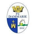 Logo Dammarie-les-Lys FC