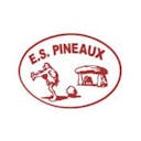 Logo ES Pineaulaise
