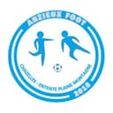 Logo Anzieux Foot