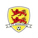 Logo AS Saessolsheim