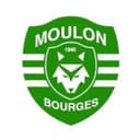 Logo ES Moulon Bourges