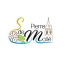 Logo ES Saint-Pierre-de-Maillé