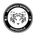 Logo ES Sartrouville 78