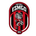 ESM Gonfreville-l'Orcher Football