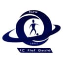 Logo FC Fief Gesté