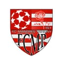 Logo FC Mandres Périgny