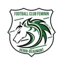 Logo FCF Hénin-Beaumont