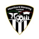 Logo Montbard Venarey Foot
