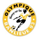 Logo Olympique Noisy-le-Sec - Banlieue 93
