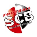 Logo SC Briard 77