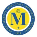 Logo USM Montargis Football