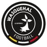 Logo Wasquehal Football