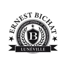 Logo Collège Ernest Bichat