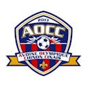 Logo Avoine Olympique Chinon Cinais