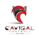 Logo Cavigal Nice Sports Football