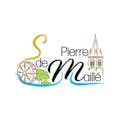 Logo ES Saint-Pierre-de-Maillé