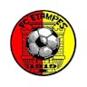 Logo FC Étampes