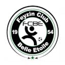Logo Feyzin CBE