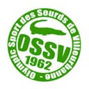 Logo OSS Villeurbanne