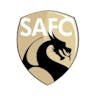 Logo Saint-Amand FC