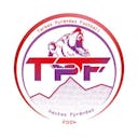 Logo Tarbes Pyrénées Football